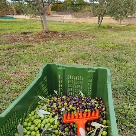 Stancija Dom wakacyjny
